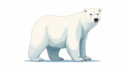 Arctic polar white bear the winter symbol and eleme