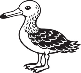 Black and White Cartoon Illustration of Seagull Bird for Coloring Book white background