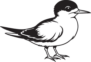 Tern Bird - black and white vector illustration for tattoo or t-shirt design