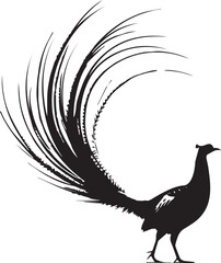 Fototapeta premium Pheasant silhouette. Pheasant logo. Pheasant vector design black and white. Pheasant flying silhouette. 