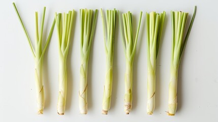 Several lemongrass stalks laid horizontally, showcasing their length and fresh-cut ends on a clean, white surface