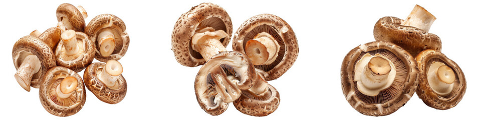Fresh Shiitake Mushrooms Hyper realistic Highly Detailed Isolated On Transparent Background PNG