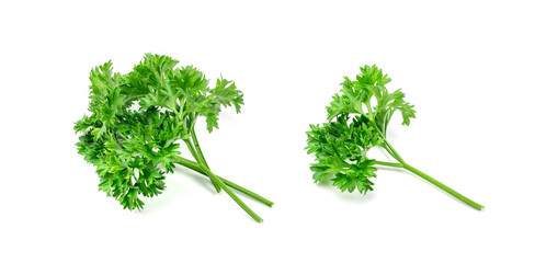 Fresh parsley leaves, curly parsley twigs pile isolated, raw garden herbs, green cilantro leaves,...