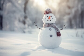 Obraz premium A snowman is standing in a snowy forest. He is wearing a hat and a scarf. He has a carrot for a nose and two black buttons for eyes. His mouth is smiling.