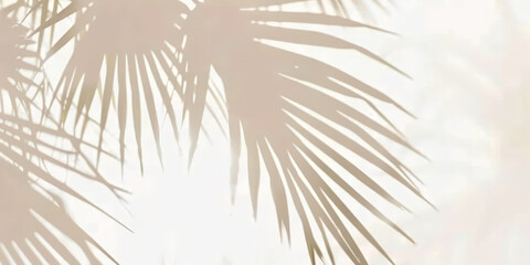 palm tree shadows on white background, tropical leave shadows on beige background, banner