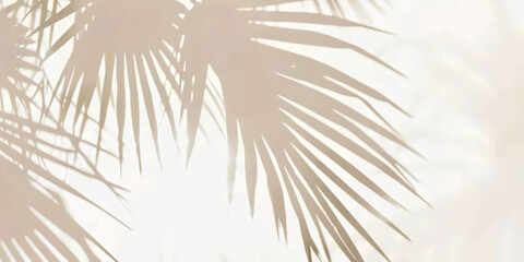 Obraz premium palm tree shadows on white background, tropical leave shadows on beige background, banner
