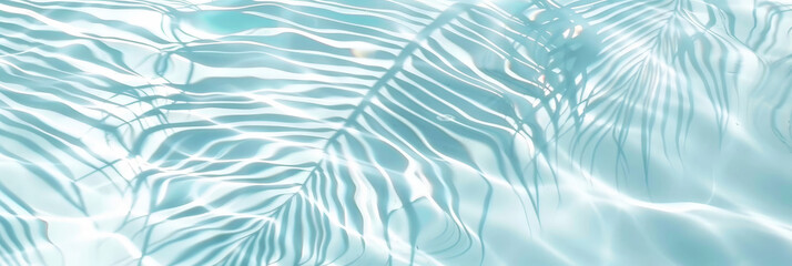  palm leaves shadows on  water surface, tropical leaves  shadows on water surface,Shadow of palm leaves on white sand beach