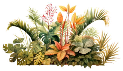 PNG Plant painting nature flower.