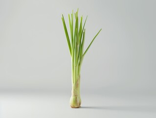 Single lemongrass stalk standing upright, its intricate layers and fresh green hues sharply contrasted against a white background
