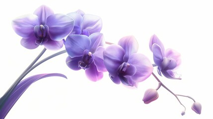 A cluster of purple orchids with long stems, gently swaying in a soft breeze, placed in the center of the image