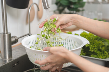 Close up hand of asian young woman washing sunflower sprout, hydroponic green oak lettuce, fresh vegetable with splash water in basin of water on sink in kitchen at home, preparing salad, cooking meal