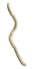 Obraz premium isolated piece of branch on transparent background