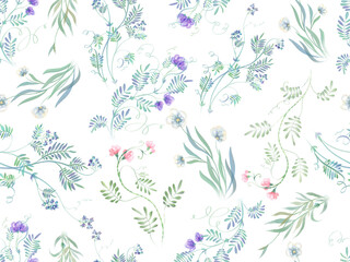 Seamless floral watercolor pattern of wild field grasses and flowers. Watercolor botanical illustration of flowers on a transparent background.