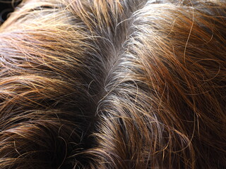 Preparation for Dyeing Gray Hair with Henna: Natural Care and Beauty