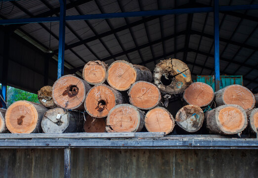 Pieces of wood harvested from the forest at a sawmill, in Balikpapan, East Kalimantan, Indonesia. Ready to use for various construction needs and others.