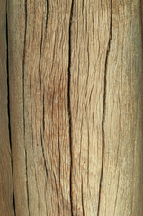 old wood texture