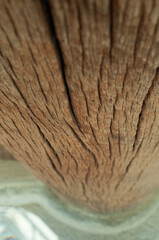 close up of a bark ancient Korean house wooden