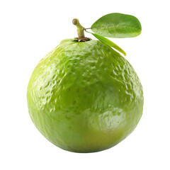 Greenish Guava fruit with a smooth, bumpy rind and a single green leaf attached to the stem.