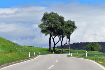 Road in the countryside of Austria.