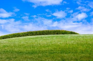 wonderful combination of green grass and blue sky
what a beautiful green hill