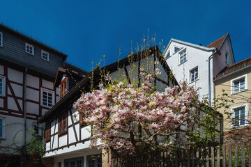 Altstadt, Fachwerk, Hausansichten in Oberstadt 