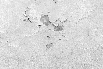 Pared muro blanco fondo rugoso dañado