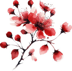 watercolor bright red flowers and leaves 