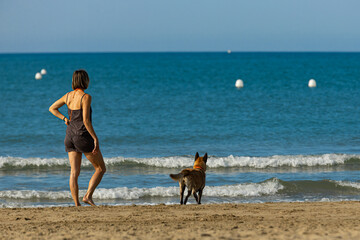 Back view of a woman and her dog standing at the water’s edge on a sandy dog friendly beach in...