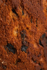 Macro View of Panettone Crunchy Crust Texture 
