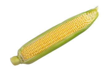 Fresh yellow ear of corn with green leaves isolated on white, transparent background. Food ingredient, design element, farm, harvest, agriculture.