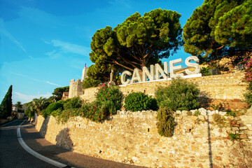 Amazing Pine trees on the hill of Eglise Notre-Dame d