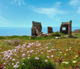 Summer blossoming Atlantic ocean coast scenery and 12th century fortification ruins (cape Ponta Da Arrifana, Aljezur, Algarve, Portugal).