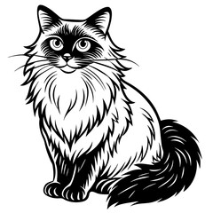 Outline Ragdoll cat sitting color element. Cartoon cute animal.on white background | vector illustration
