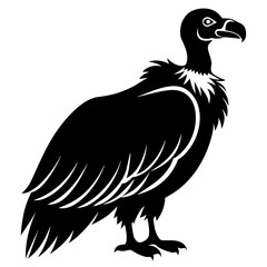 Vulture bird. Bird predator icon. Nature evil. Nature, bird watching and ornithology design| Vector illustration isolated on white background. 