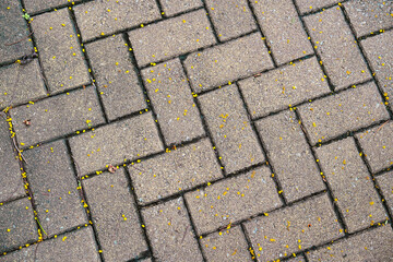 a brick floor. The bricks are arranged in a herringbone pattern. The floor is wet and there are some leaves on it. pattern material for 3d work.