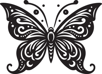 black and white butterfly