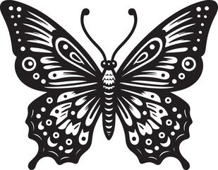 black and white butterfly