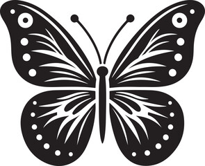 black and white butterfly