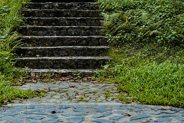 The stone steps are overgrown with moss and grass. The path leads to a dark and mysterious place.