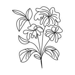 Hand drawn flower collection