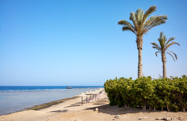 Beautiful sandy beach, Marsa Alam region, Egypt.