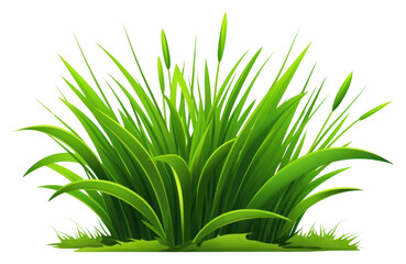 Obraz premium PNG Grass green plant leaf.