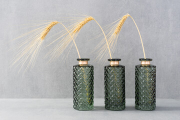Wheat in vase beautiful illuminated
