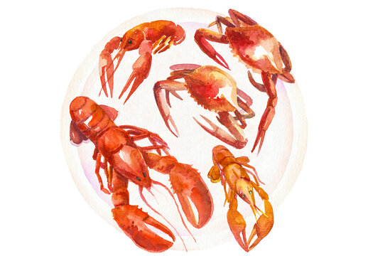 Watercolor painted lobster, crayfish, crab Hand drawn fresh seafood design elements