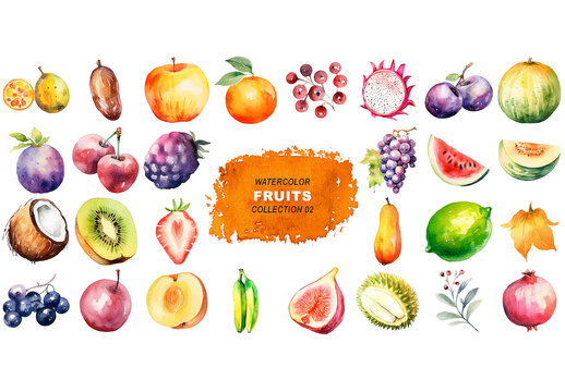 Watercolor painted style - fresh fruits clipart isolated on transparent background. Created using Generative AI.
