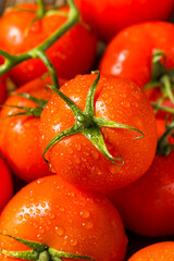 Red Organic Raw Beefsteak Tomatoes