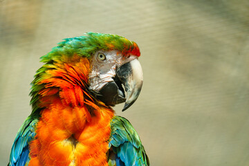 Knallige Farben