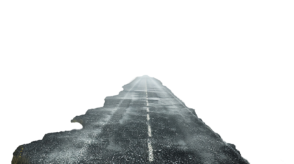 Una stada scorre verso l'infinito
Disponibile sfondo trasparente