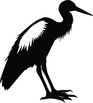 recommend clip art: Pelican - Stork Silhouette-Coastal Charm, Stork profile, logos, outline, design, peeking, birds