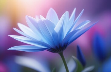 Fototapeta premium A delicate blue flower with translucent petals on a blurred purple background.